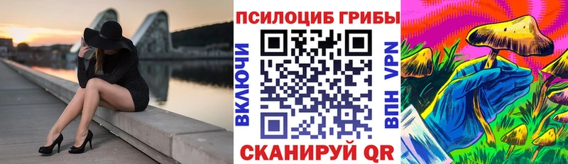 Псилоцибиновые грибы Psilocybe  Купить где  Себеж 